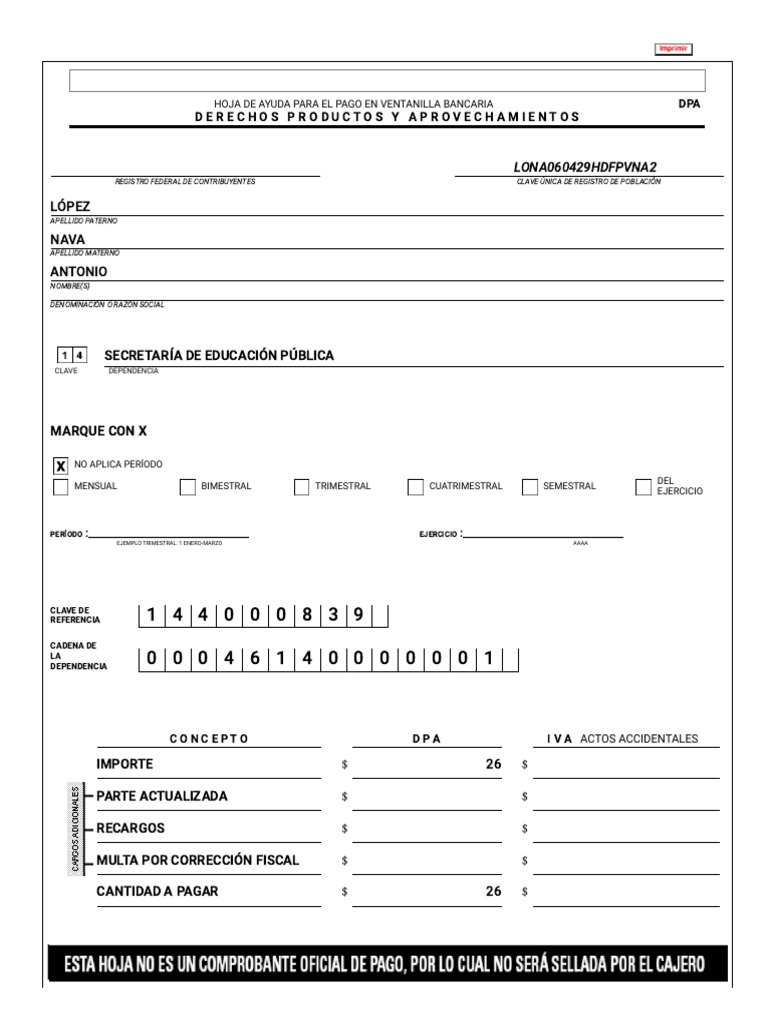 Ficha de Pago PDF