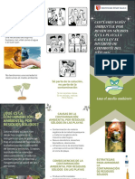 Tríptico (1) Contaminación Ambiental