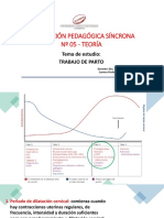 Fase 5