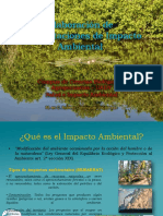 Elaboración de Manifestaciones de Impacto Ambiental