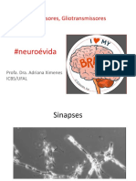 Neuro Gliotransmissores e Sinapses ENF 2020.2