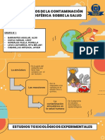 Contaminación Atmosférica