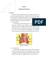 DAFPUS HEMOROID