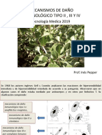 Mecanismos de Da o Inmunologico II III y IV TM 2019