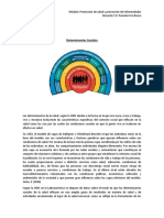 Guía Determinantes Sociales de La Salud