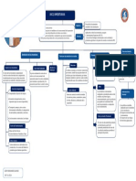 Mapa Conceptual Nic 2