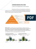 Nesecidades Basicas en El Peru