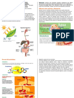 Ficha Sobre Anutricion y Metabolismo