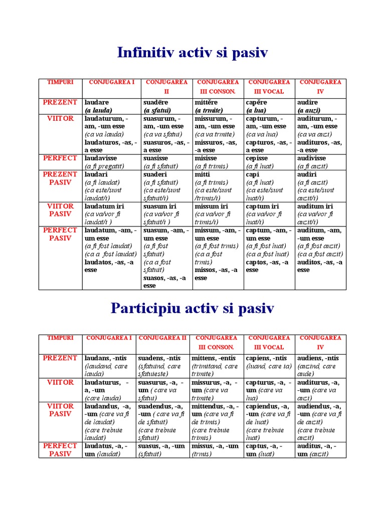 Gramatica Limbii Latine Infinitiv Activ Si Pasiv | PDF