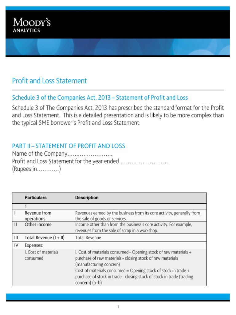 Profitloss statement companies act 2013 pdf