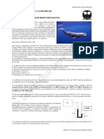 Presión Temperatura y Gases Ideales 2023-2