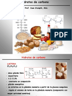 09 Hidratos de Carbono
