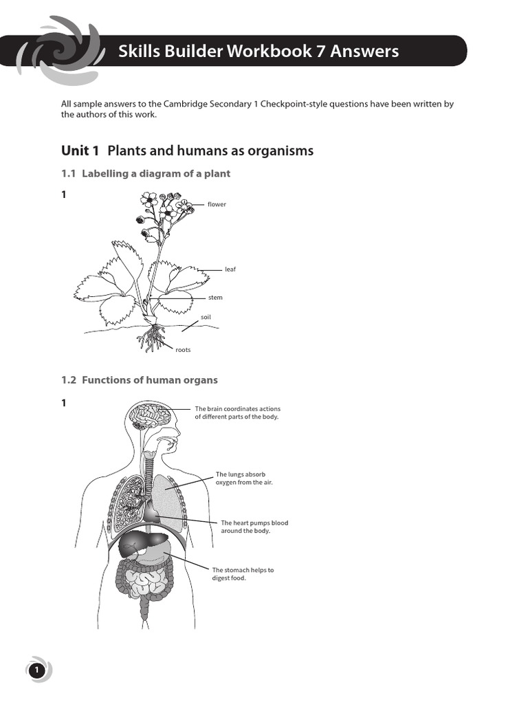 Cambridge Science Workbook 7 Answers | PDF | Rock (Geology) | Acid
