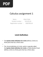 Calculus Assignment 1