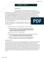 Cerebral Cortex: Gross Structure of Cerebral Hemispheres