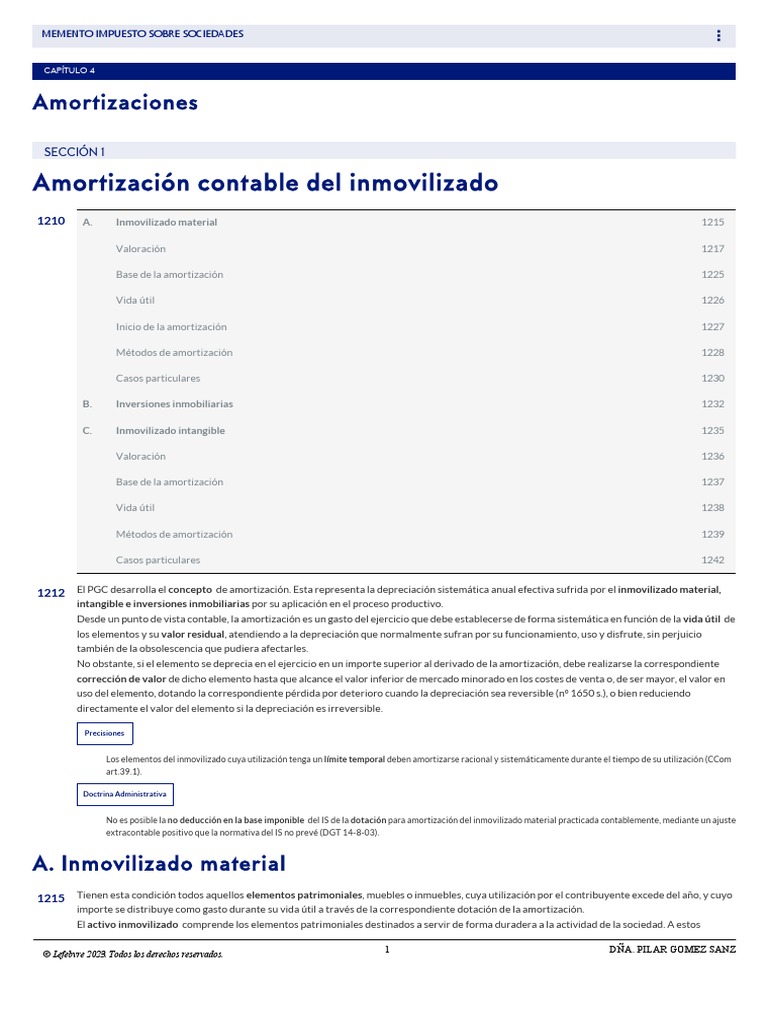 Amortizacion PDF