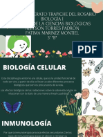 Telebachillerato Trapiche Del Rosario Biología I Efectos de La Ciencias Biológicas Allyson Torres Padrón Fatima Marinez Montiel 3° "B"