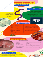 Streptococcus Pyogenes