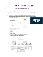 Wuolah Free Apuntes para Examen - Gulag - Free