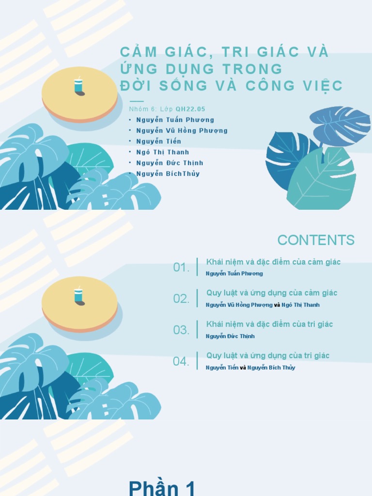 Slide nhóm 6 Cảm giác và tri giác | PDF