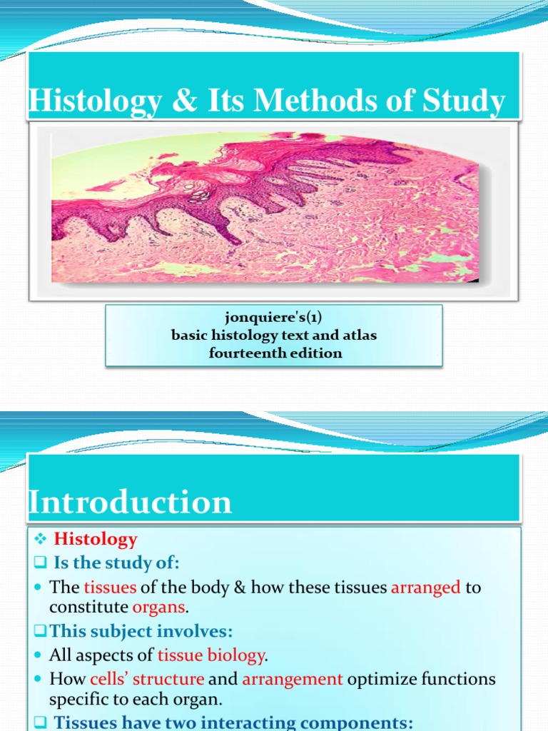 Histology & Its Methods MON 21 Download Free PDF Fixation (Histology) Staining