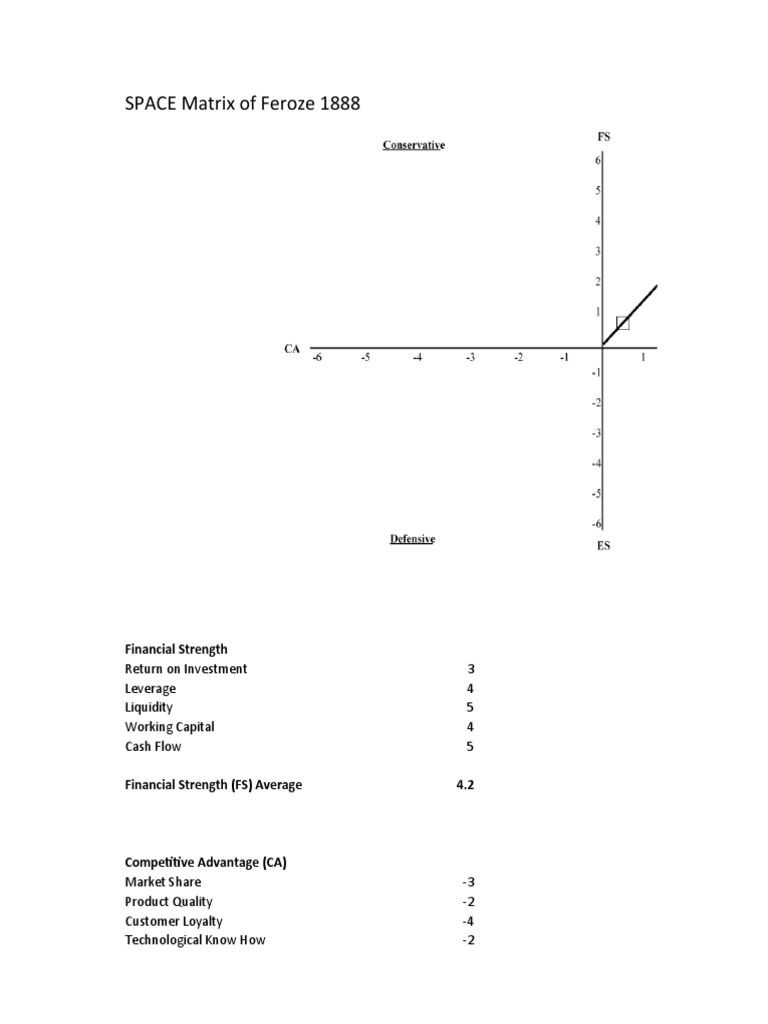 SPACE Matrix Analysis of Feroze 1888 | PDF