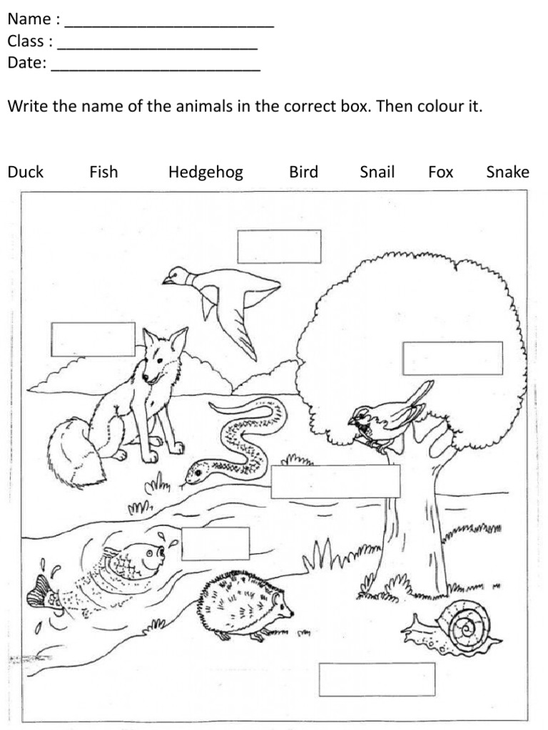 worksheet-year-1-pdf