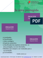 Poster Area Protegida (1)