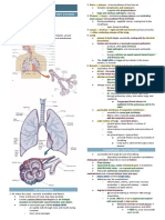 Oxygenation Structure of The Respiratory System: Pulmonary Ventilation
