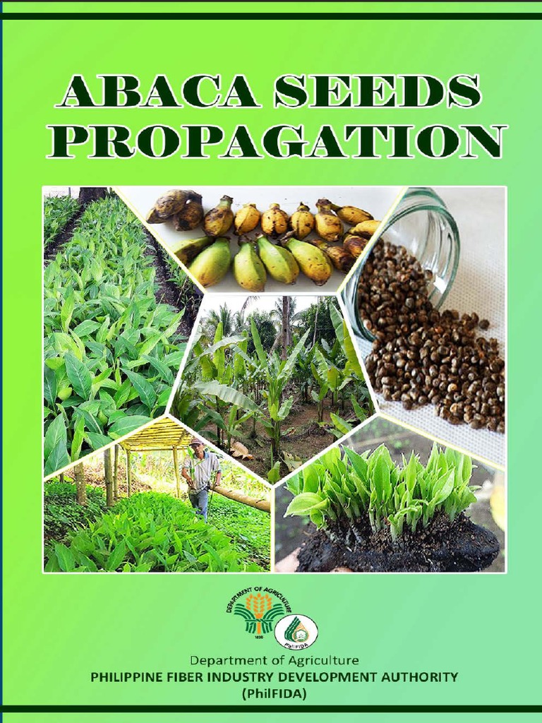 Abaca Seeds Propagation  PDF