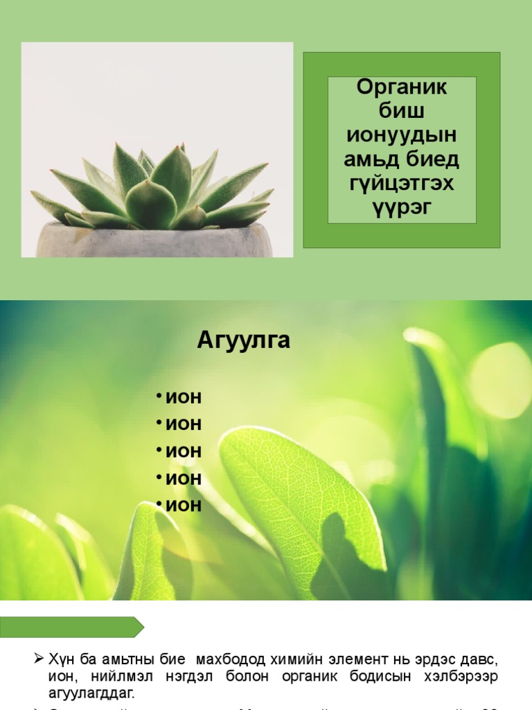 XI Органик биш ион | PDF