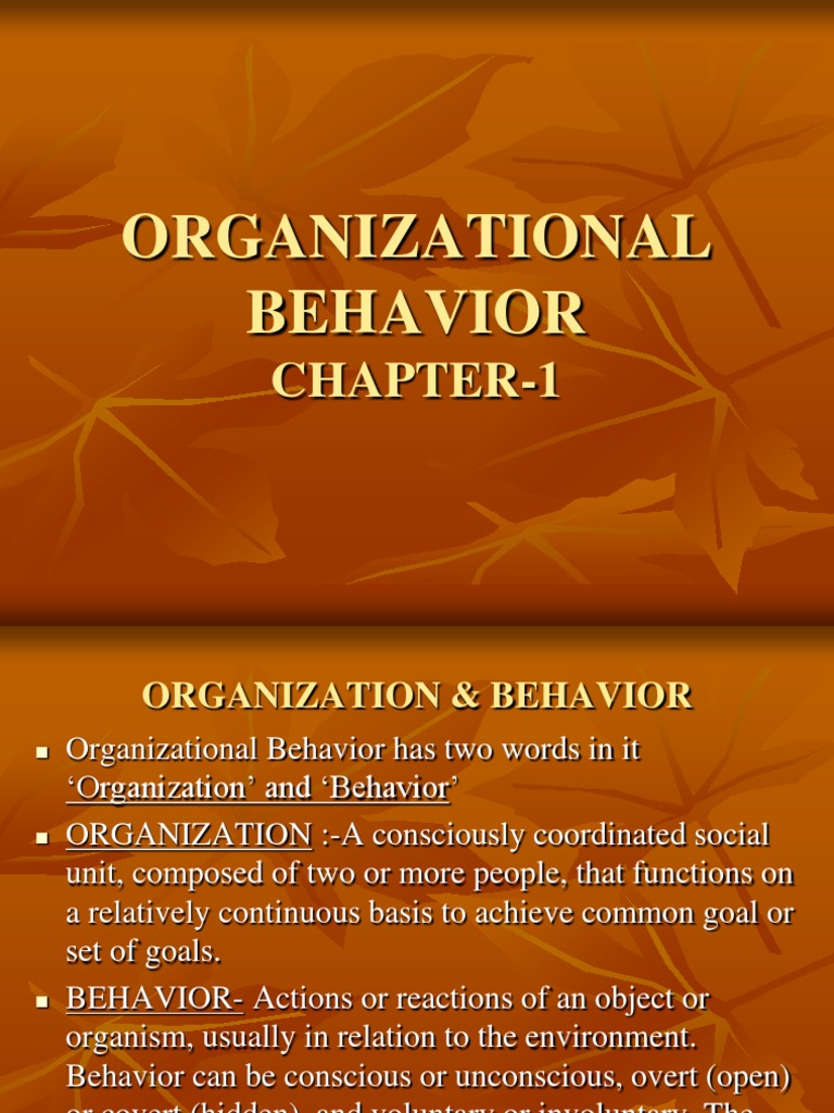 Organizational Beh-Chapter 1 | PDF | Organizational Behavior | System