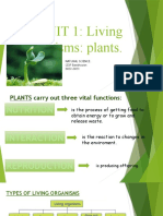Unit 1 - Plants