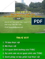 Bài 1. Tế Bào Thực Vật