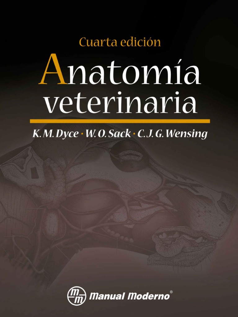 ANATOM A VETERINARIA DYCE 3RA EDICI N PDF GRATIS visual data 2