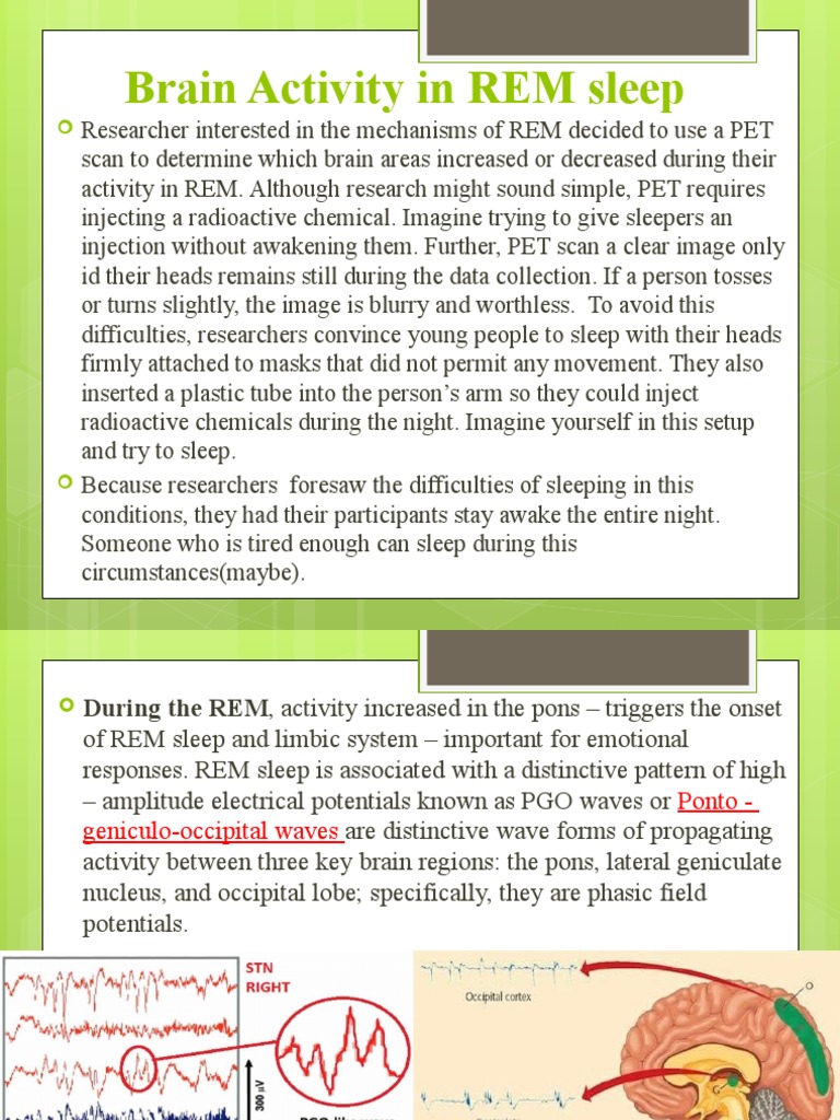 Brain Activity in REM Sleep Sleep Disorders Sleep Apnea Periodic Limb