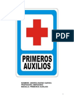 Trabajo P. Auxilios