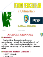 4-Anatomi Urinaria