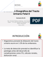 Seminario 56 Evaluacion Ecografica Tracto Urinario Fetal II - Archivo