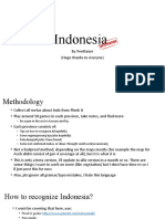 Indonesia in Depth Guide (Beta Version)