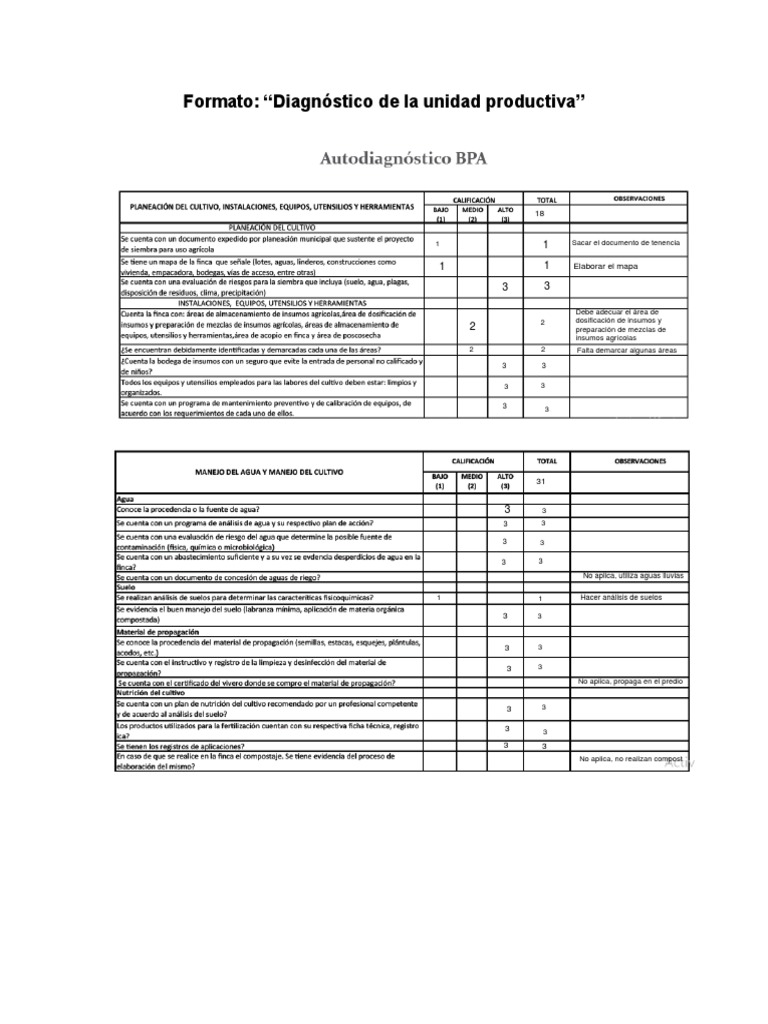 Diagnostico Unidad Productiva | PDF