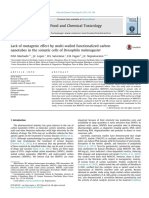 Nanotubes in The Somatic Cells of Drosophila Melanogaster