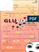 Rutas de La Glucosa