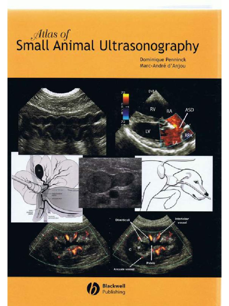 atlas-de-ultrassonografia-de-pequenos-animais-pdf