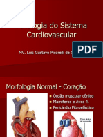 Patologia Do Sistema Cardiovascuar Completo