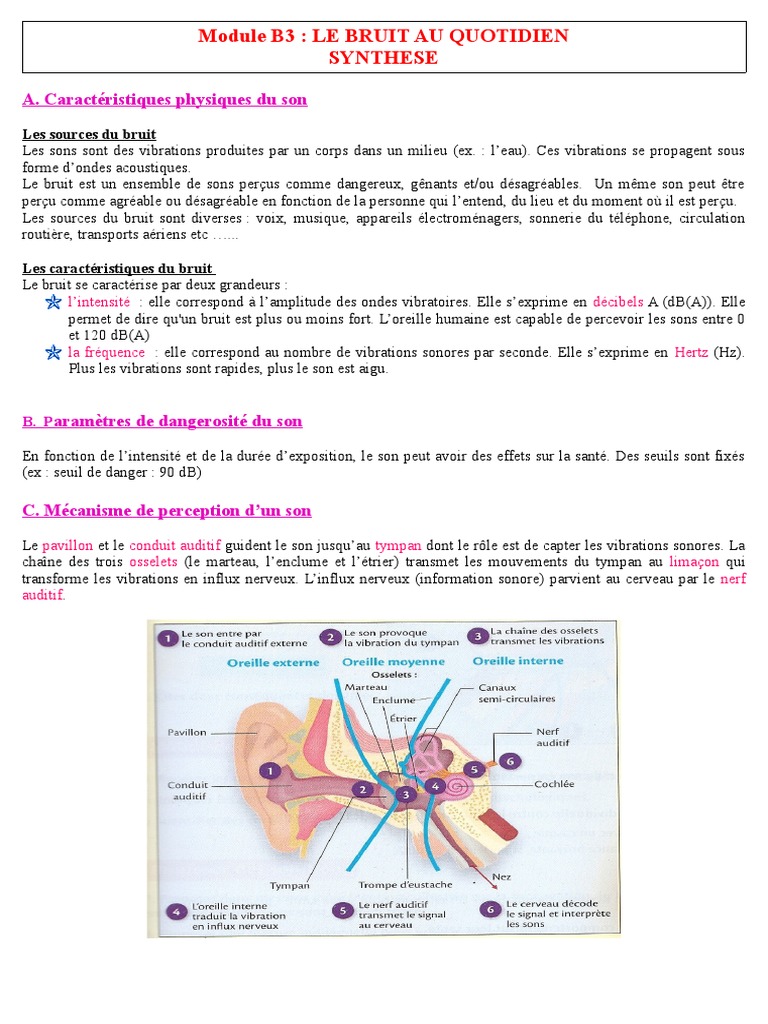 Effets du bruit sur la santé et prévention | PDF | Son | Bruit