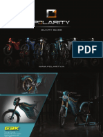 Polarity Brochure 2019
