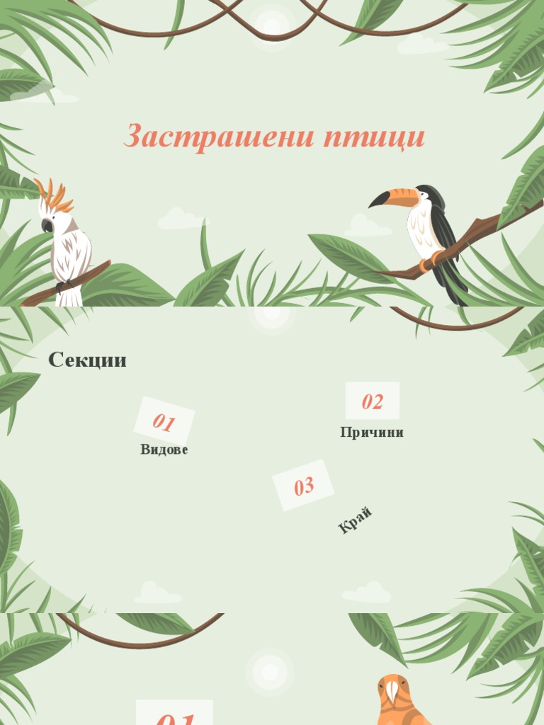 Environmental Science Activities For Middle School Endangered Bird