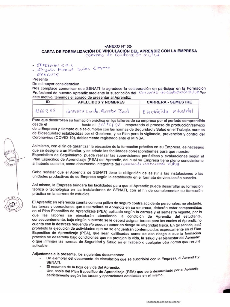 anexo-n-2-pdf