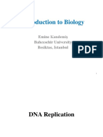 6 - DNA Replication